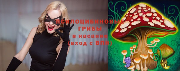 альфа пвп Новодвинск