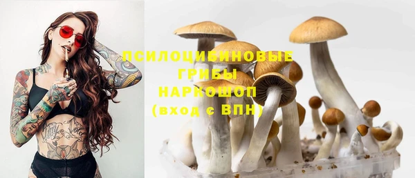 прущие крисы Нефтегорск