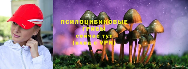 шишки Нефтекумск