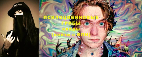 шишки Нефтекумск