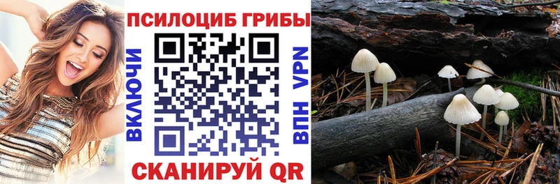 Псилоцибиновые грибы MAGIC MUSHROOMS магазин продажи наркотиков Фролово