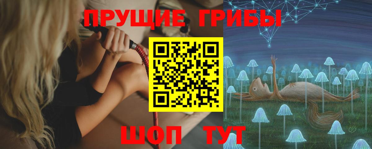 Псилоцибиновые грибы GOLDEN TEACHER Фролово