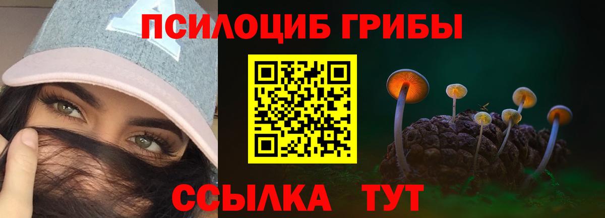 Галлюциногенные грибы MAGIC MUSHROOMS  продажа наркотиков  Фролово  Вход с VPN  Псилоцибиновые грибы GOLDEN TEACHER 