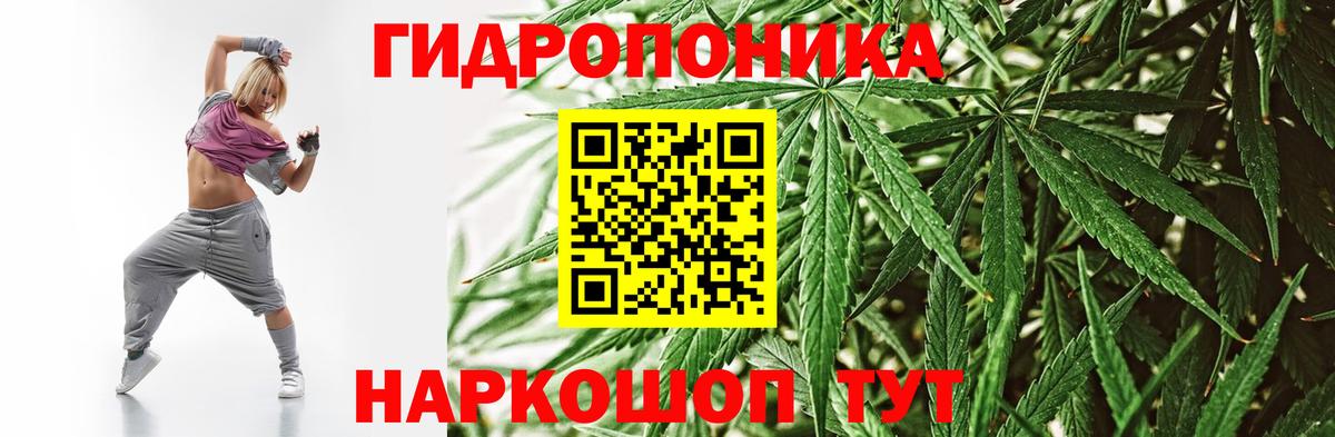 Марихуана Bruce Banner  Канабис тримм  Фролово  Каннабис план  Бошки Шишки гибрид 